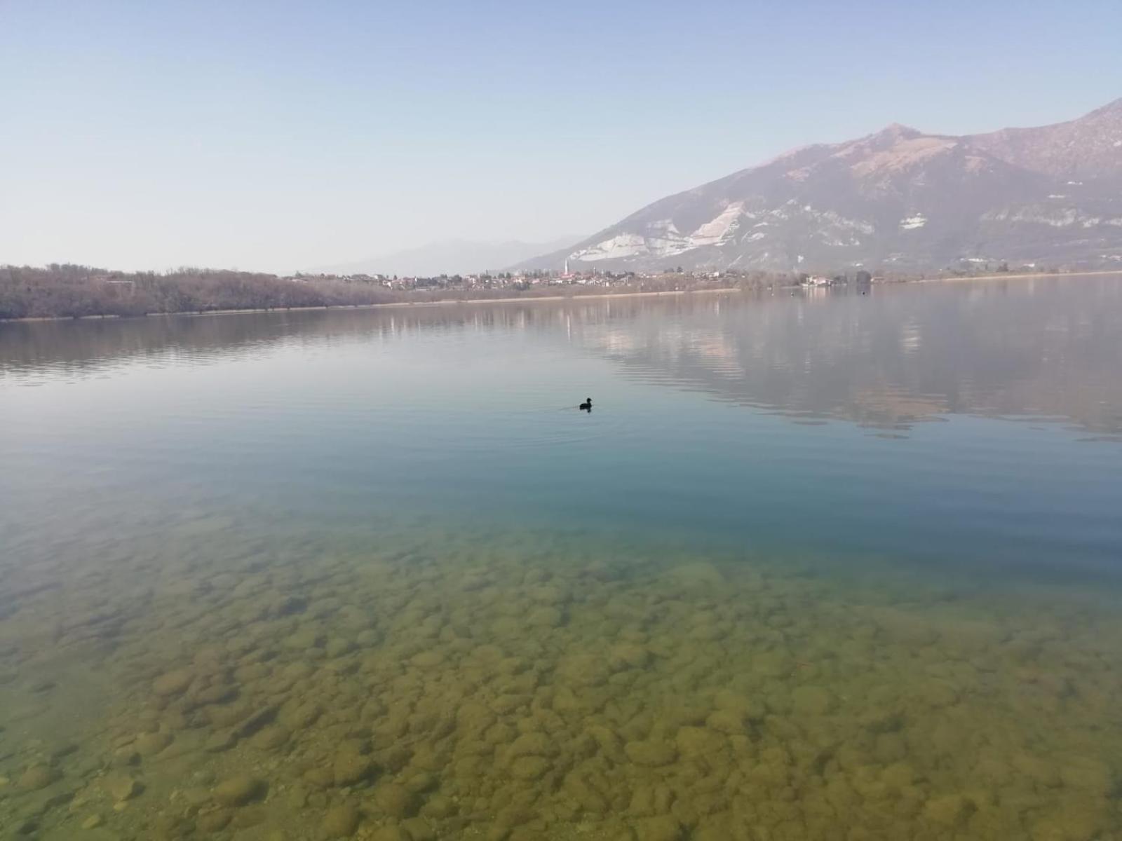La Poesia Del Lago Oggiono Eksteriør billede