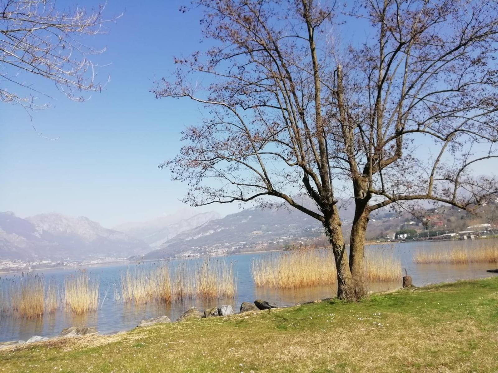 La Poesia Del Lago Oggiono Eksteriør billede